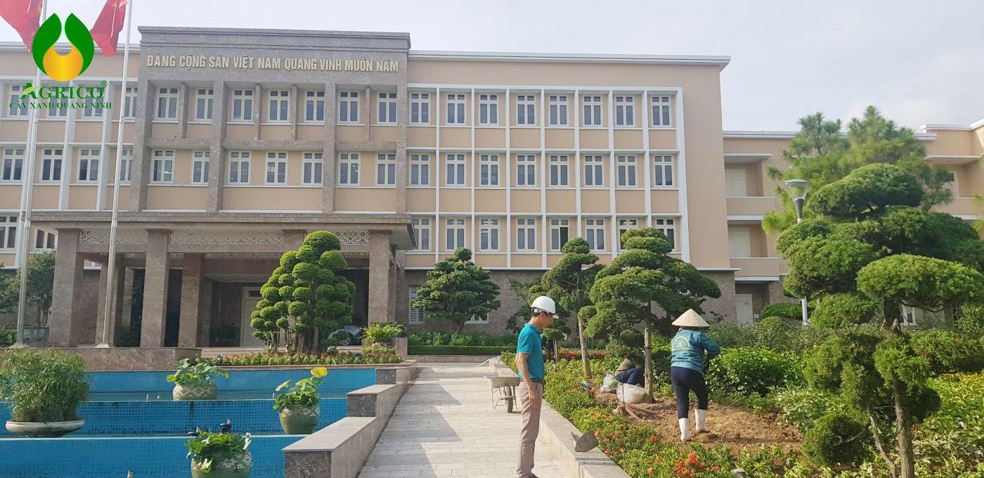 Công ty Cổ phần công nghệ Agrico được tin tưởng lựa chọn thực hiện dịch vụ vệ sinh và chăm sóc cây xanh trong khuôn viên trụ sở Tỉnh ủy Quảng Ninh.