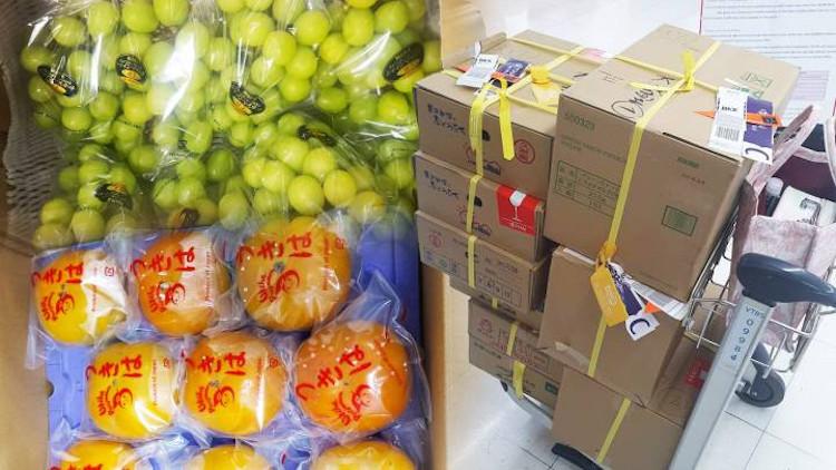 Khách du lịch mang trái cây tươi vào Thái Lan có thể bị phạt tù - 1