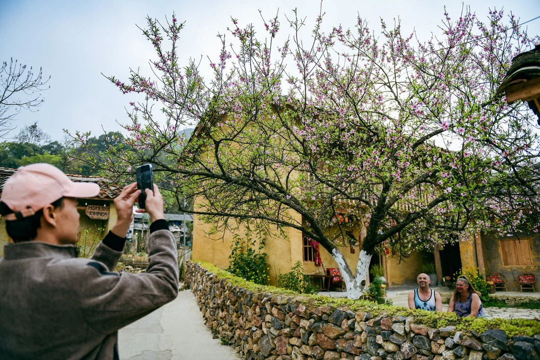 Du khách nước ngoài mê ngắm hoa đào ở Lô Lô Chải (Hà Giang) - Ảnh: NAM TRẦN